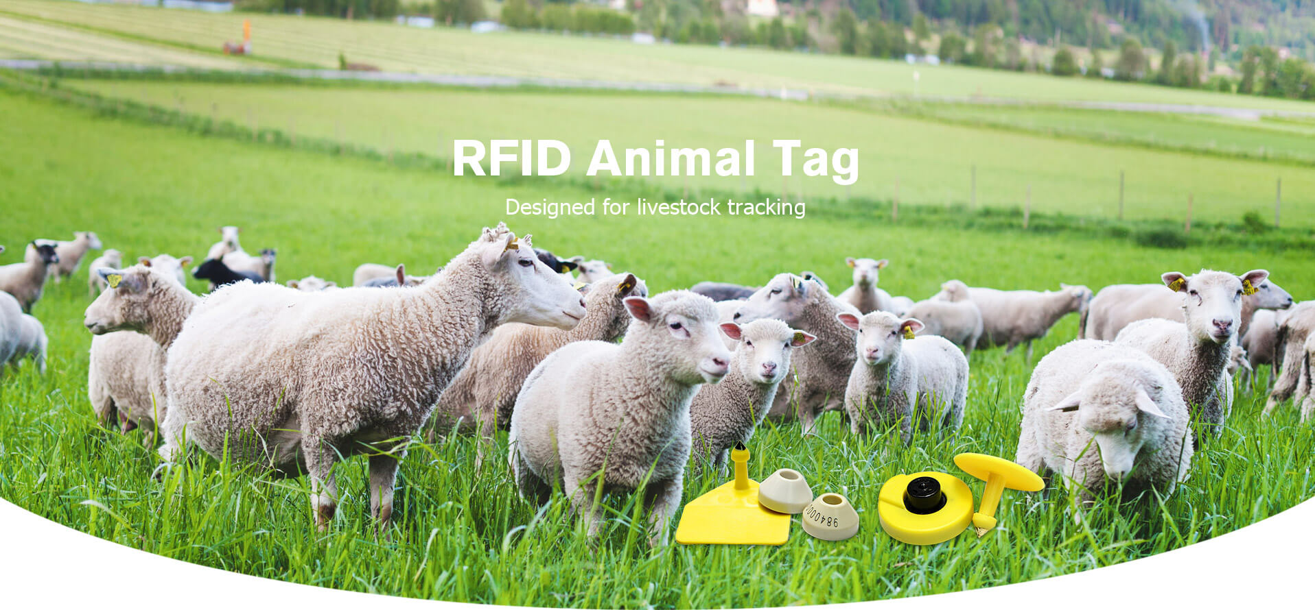 RFID Animal Tag