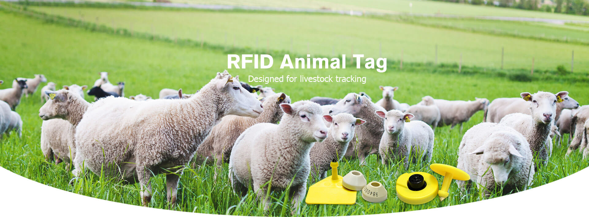 RFID Animal Tag